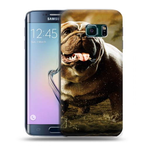 Дизайнерский пластиковый чехол для Samsung Galaxy S6 Edge Сверхлюди