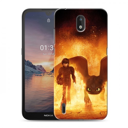 Дизайнерский силиконовый чехол для Nokia 1.3 Как приручить дракона 3