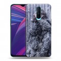 Дизайнерский пластиковый чехол для OPPO RX17 Pro Игра Престолов