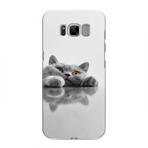 Дизайнерский силиконовый чехол для Samsung Galaxy S8 Коты
