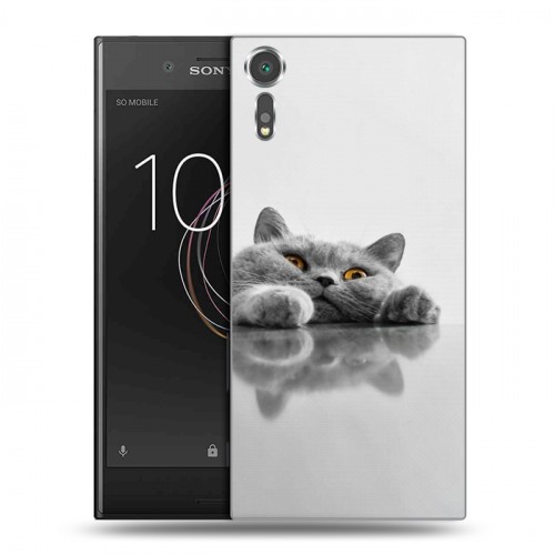 Дизайнерский пластиковый чехол для Sony Xperia XZs Коты