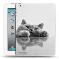 Дизайнерский пластиковый чехол для Ipad 2/3/4 Коты