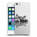 Дизайнерский пластиковый чехол для Iphone 5s Коты