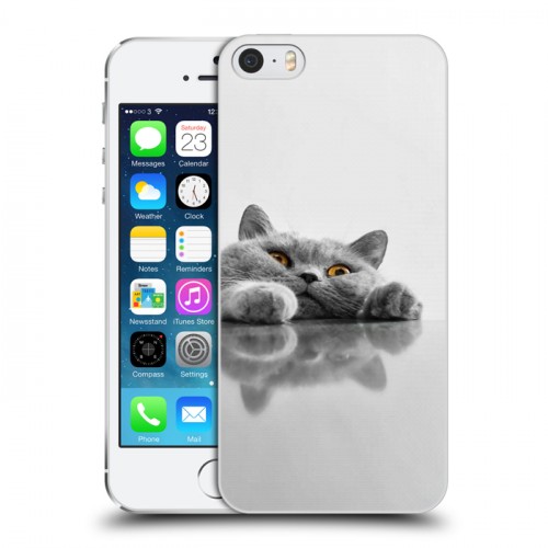 Дизайнерский пластиковый чехол для Iphone 5s Коты
