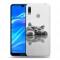 Дизайнерский пластиковый чехол для Huawei Y6 (2019) Коты