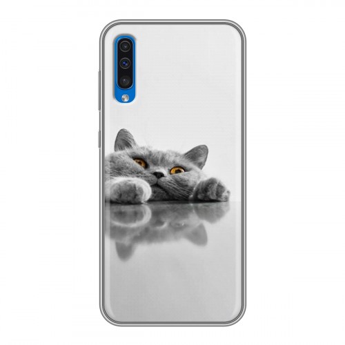 Дизайнерский пластиковый чехол для Samsung Galaxy A50 Коты