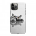 Дизайнерский силиконовый чехол для Iphone 12 Pro Max Коты