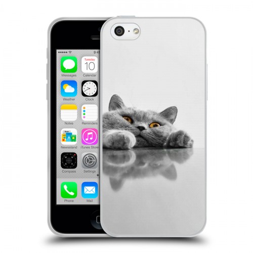 Дизайнерский пластиковый чехол для Iphone 5c Коты