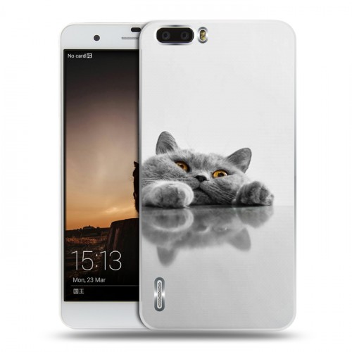 Дизайнерский пластиковый чехол для Huawei Honor 6 Plus Коты