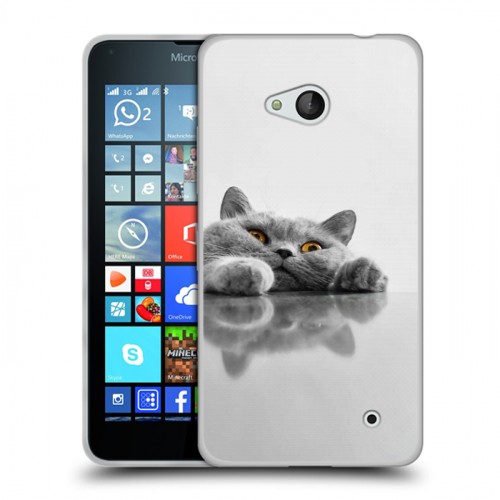 Дизайнерский пластиковый чехол для Microsoft Lumia 640 Коты