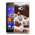 Дизайнерский пластиковый чехол для Microsoft Lumia 540 Коты