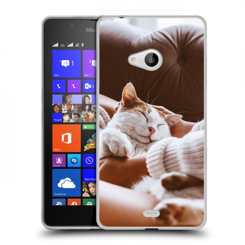 Дизайнерский пластиковый чехол для Microsoft Lumia 540 Коты