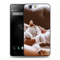 Дизайнерский силиконовый чехол для Doogee X5 Коты