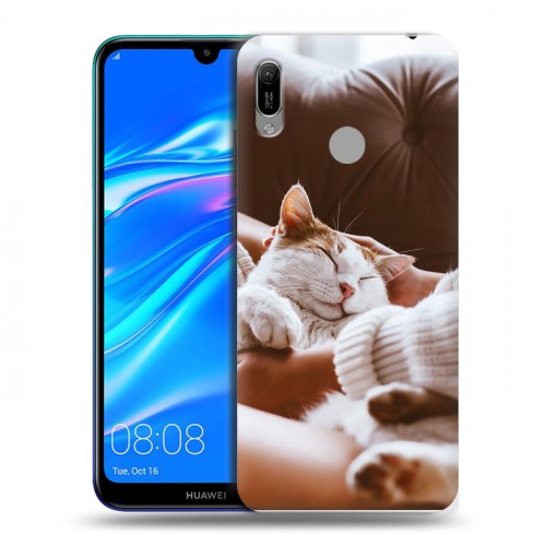 Дизайнерский пластиковый чехол для Huawei Y6 (2019) Коты