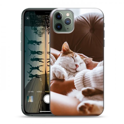 Дизайнерский пластиковый чехол для Iphone 11 Pro Коты