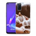 Дизайнерский пластиковый чехол для OPPO A52 Коты