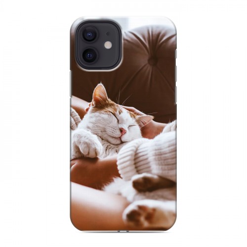 Дизайнерский силиконовый чехол для Iphone 12 Коты