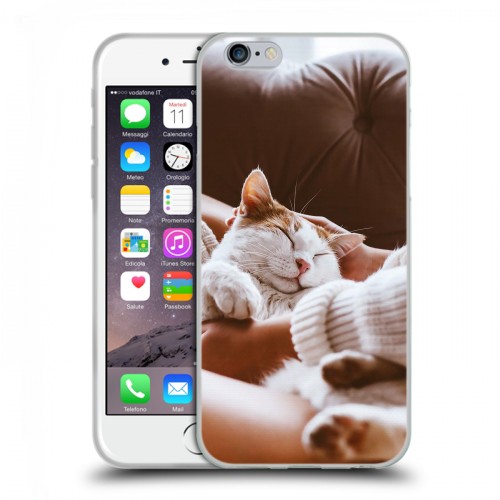 Дизайнерский пластиковый чехол для Iphone 6/6s Коты