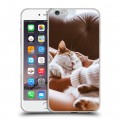 Дизайнерский силиконовый чехол для Iphone 6 Plus/6s Plus Коты