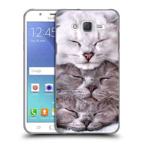Дизайнерский пластиковый чехол для Samsung Galaxy J5 Коты