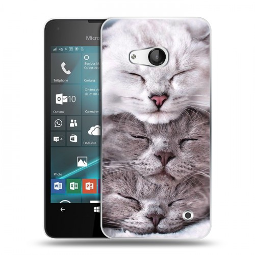 Дизайнерский пластиковый чехол для Microsoft Lumia 550 Коты