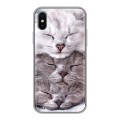 Дизайнерский силиконовый чехол для Iphone x10 Коты