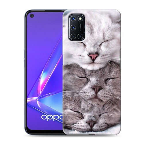 Дизайнерский пластиковый чехол для OPPO A52 Коты