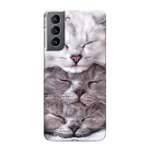 Дизайнерский пластиковый чехол для Samsung Galaxy S21 Коты