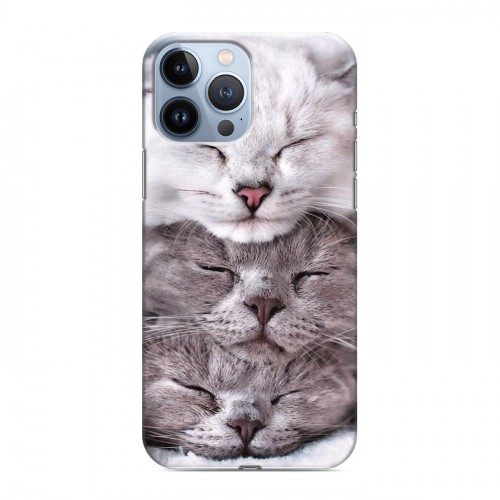Дизайнерский силиконовый чехол для Iphone 13 Pro Max Коты