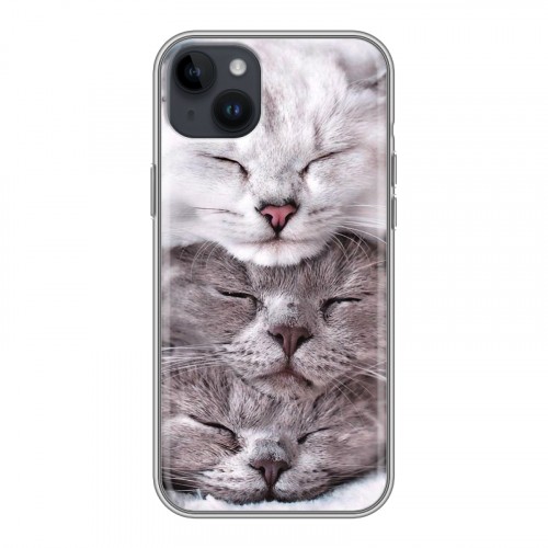 Дизайнерский пластиковый чехол для Iphone 14 Plus Коты