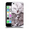 Дизайнерский пластиковый чехол для Iphone 5c Коты