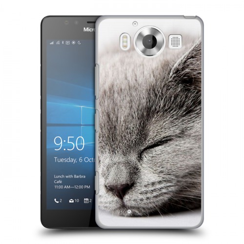 Дизайнерский пластиковый чехол для Microsoft Lumia 950 Коты