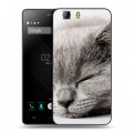 Дизайнерский силиконовый чехол для Doogee X5 Коты