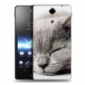 Дизайнерский пластиковый чехол для Sony Xperia TX Коты