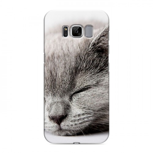Дизайнерский силиконовый чехол для Samsung Galaxy S8 Коты
