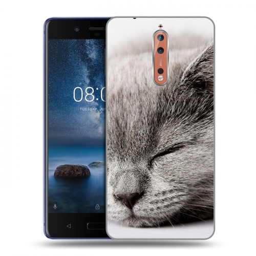 Дизайнерский пластиковый чехол для Nokia 8 Коты