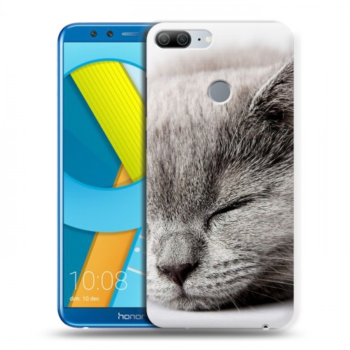 Дизайнерский пластиковый чехол для Huawei Honor 9 Lite Коты