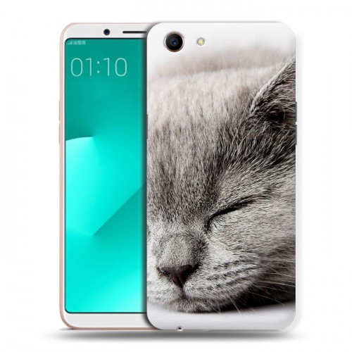 Дизайнерский пластиковый чехол для OPPO A83 Коты