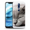 Дизайнерский силиконовый чехол для Nokia 5.1 Plus Коты