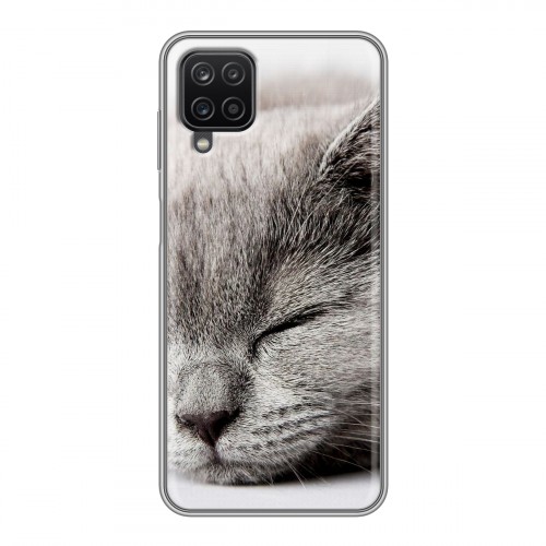 Дизайнерский пластиковый чехол для Samsung Galaxy A12 Коты