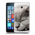 Дизайнерский пластиковый чехол для Microsoft Lumia 640 Коты