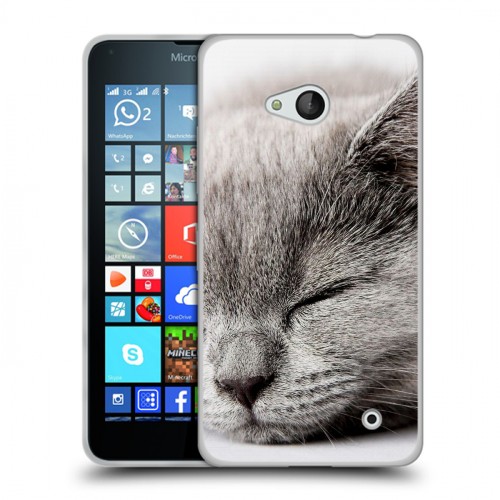 Дизайнерский пластиковый чехол для Microsoft Lumia 640 Коты