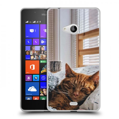 Дизайнерский пластиковый чехол для Microsoft Lumia 540 Коты
