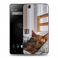 Дизайнерский силиконовый чехол для Doogee X5 Коты