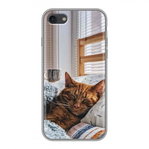 Дизайнерский силиконовый чехол для Iphone 7 Коты
