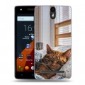 Дизайнерский силиконовый чехол для Wileyfox Storm Коты