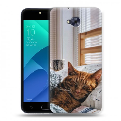 Дизайнерский пластиковый чехол для ASUS ZenFone 4 Selfie Коты