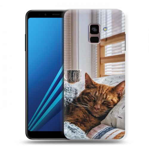 Дизайнерский пластиковый чехол для Samsung Galaxy A8 Plus (2018) Коты