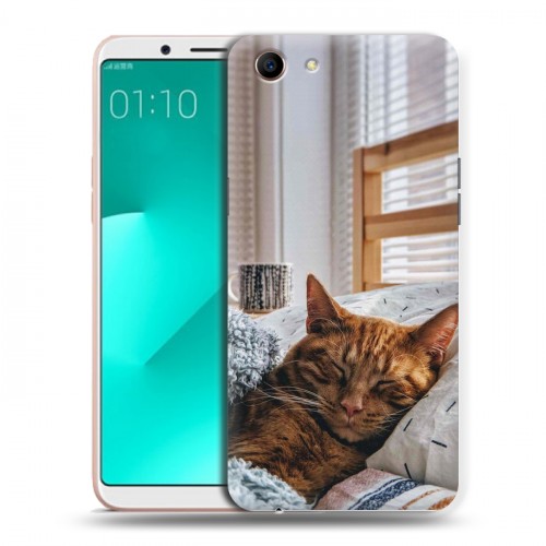 Дизайнерский пластиковый чехол для OPPO A83 Коты