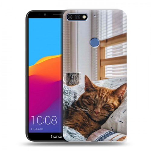 Дизайнерский пластиковый чехол для Huawei Honor 7C Pro Коты